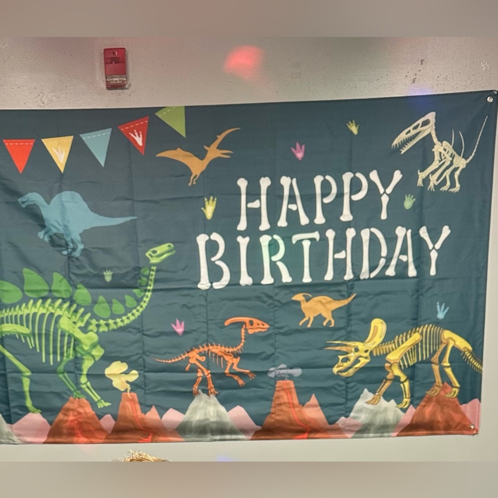 Dino birthday backdrop